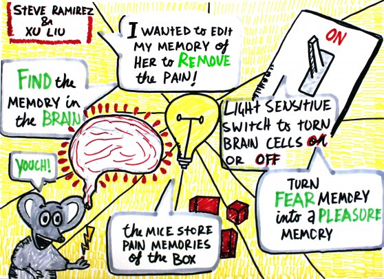 Collective Next, brain memories, TEDxBoston 2013