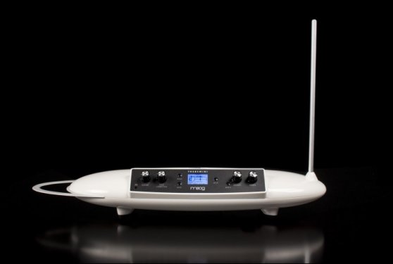 moog theremini