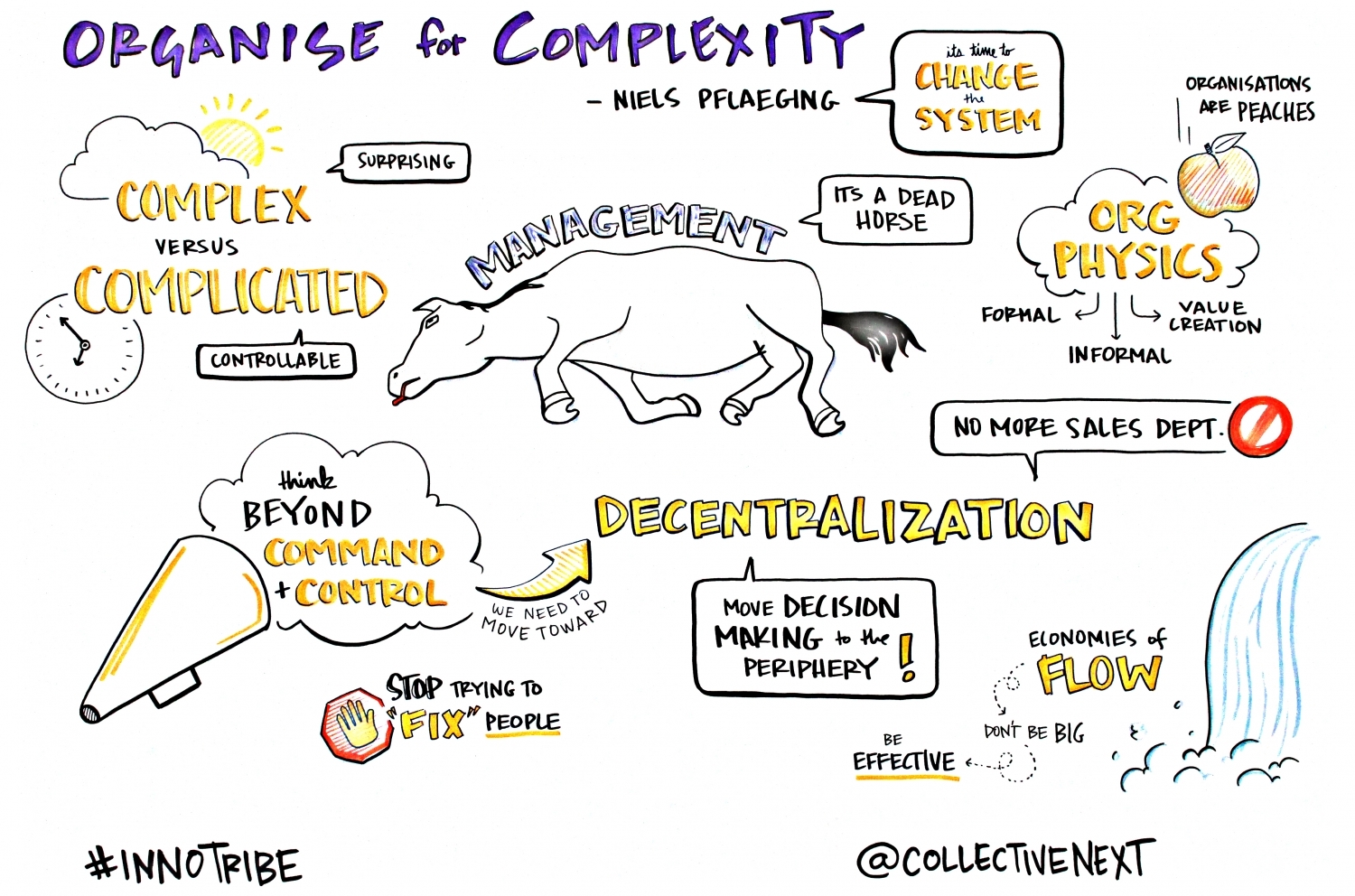 Organise for Complexity Graphic Facilitation Scribing Innotribe Collective next